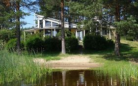 Lomakoivulehto